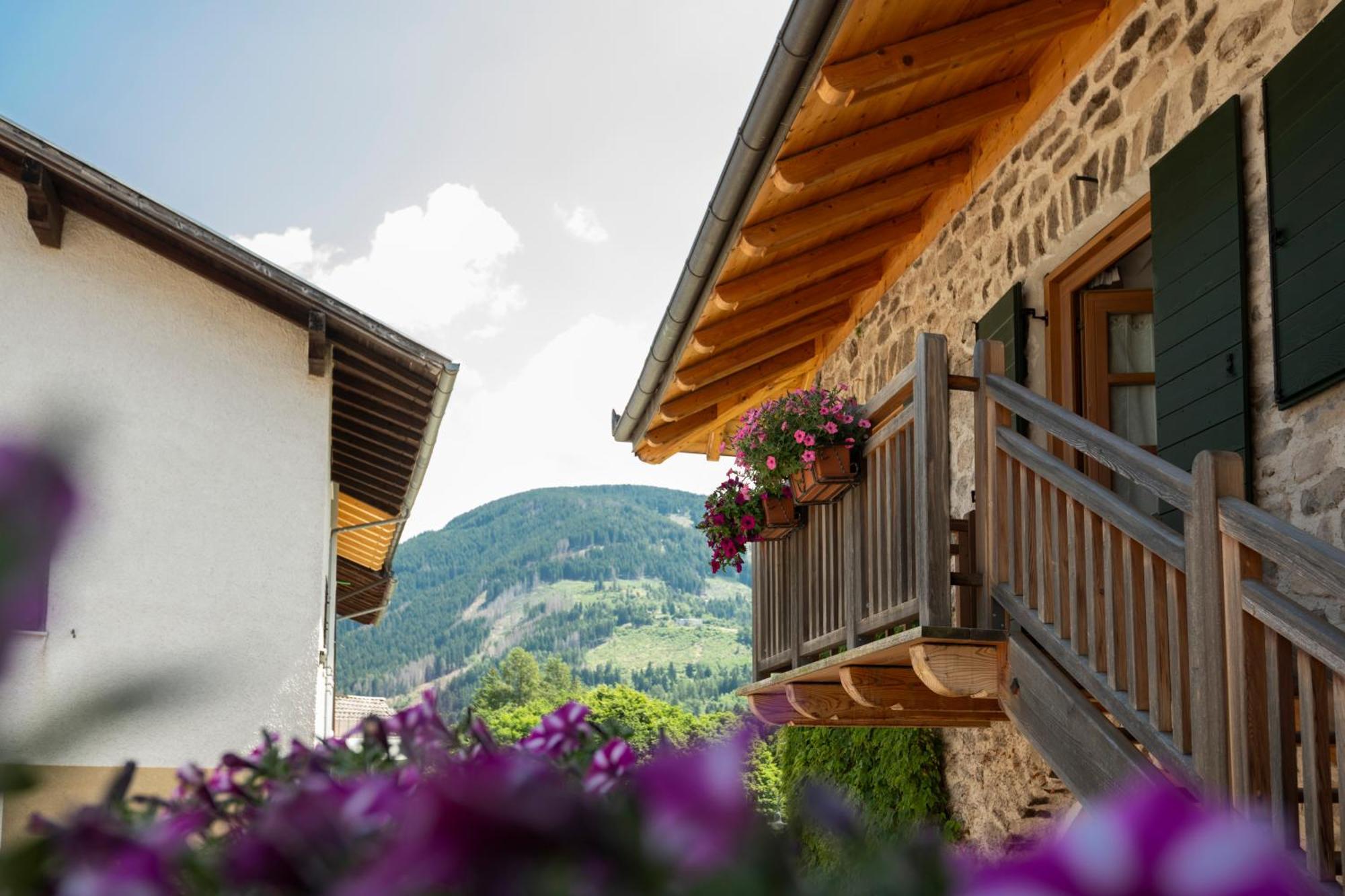 B&B Le Molinare Home Relax Varda Dış mekan fotoğraf